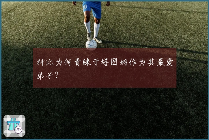 科比为何青睐于塔图姆作为其最爱弟子？